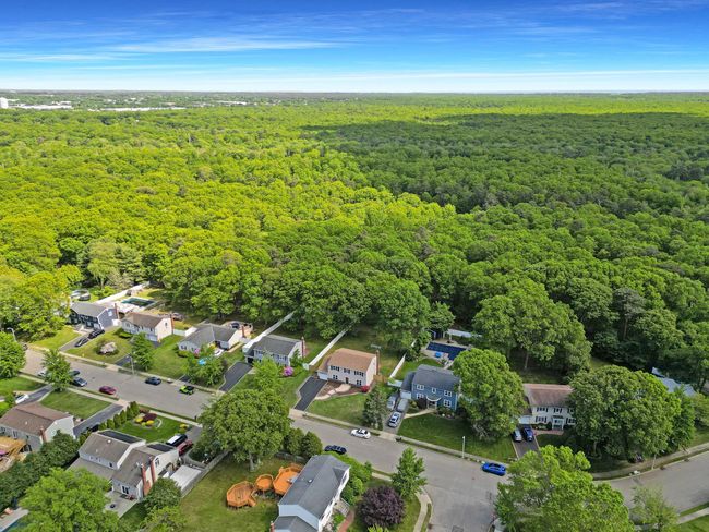 Aerial overview of property's location with a forest | Image 35