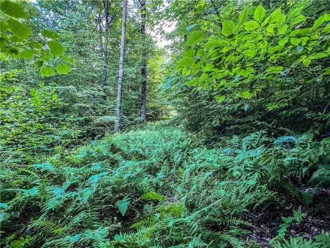 22+ Acres | Image 25