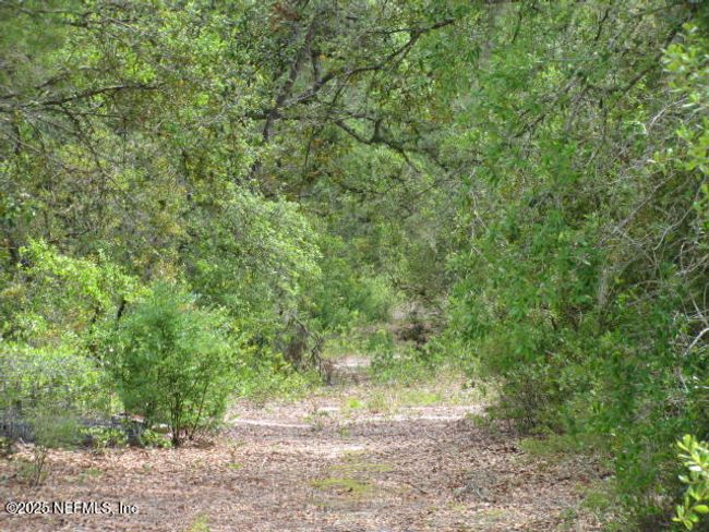 2155 State Road 40, Home with 0 bedrooms, 0 bathrooms and null parking in De Leon Springs FL | Image 38