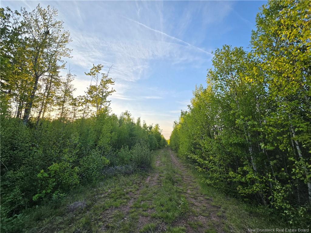 Land in Head Of Millstream 5