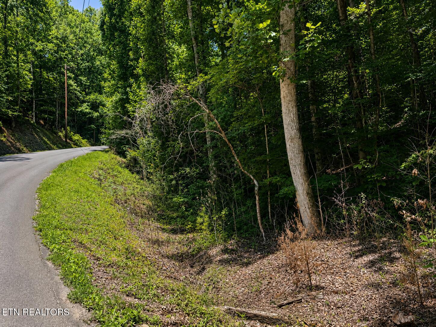 Land in Sevierville