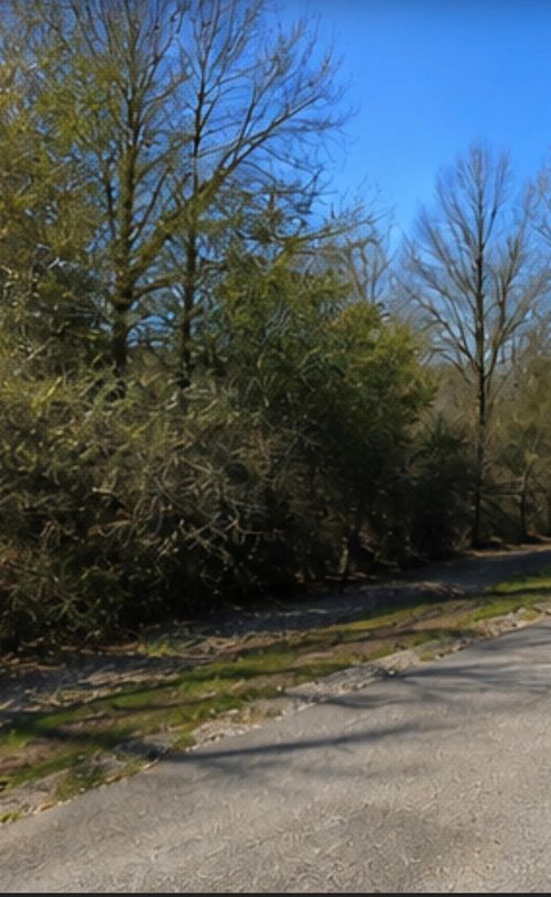 0 Hilltop Rd, East Bernard, TX, 77435 | Card Image