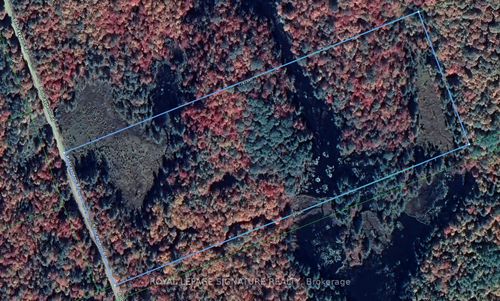 0 Bobcaygeon Rd, Minden, ON, K0M2K0 | Card Image