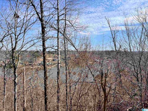 tract-b-block-2-Tract B Block 2 W Lakeshore Drive, ONEONTA, AL, 35121 | Card Image