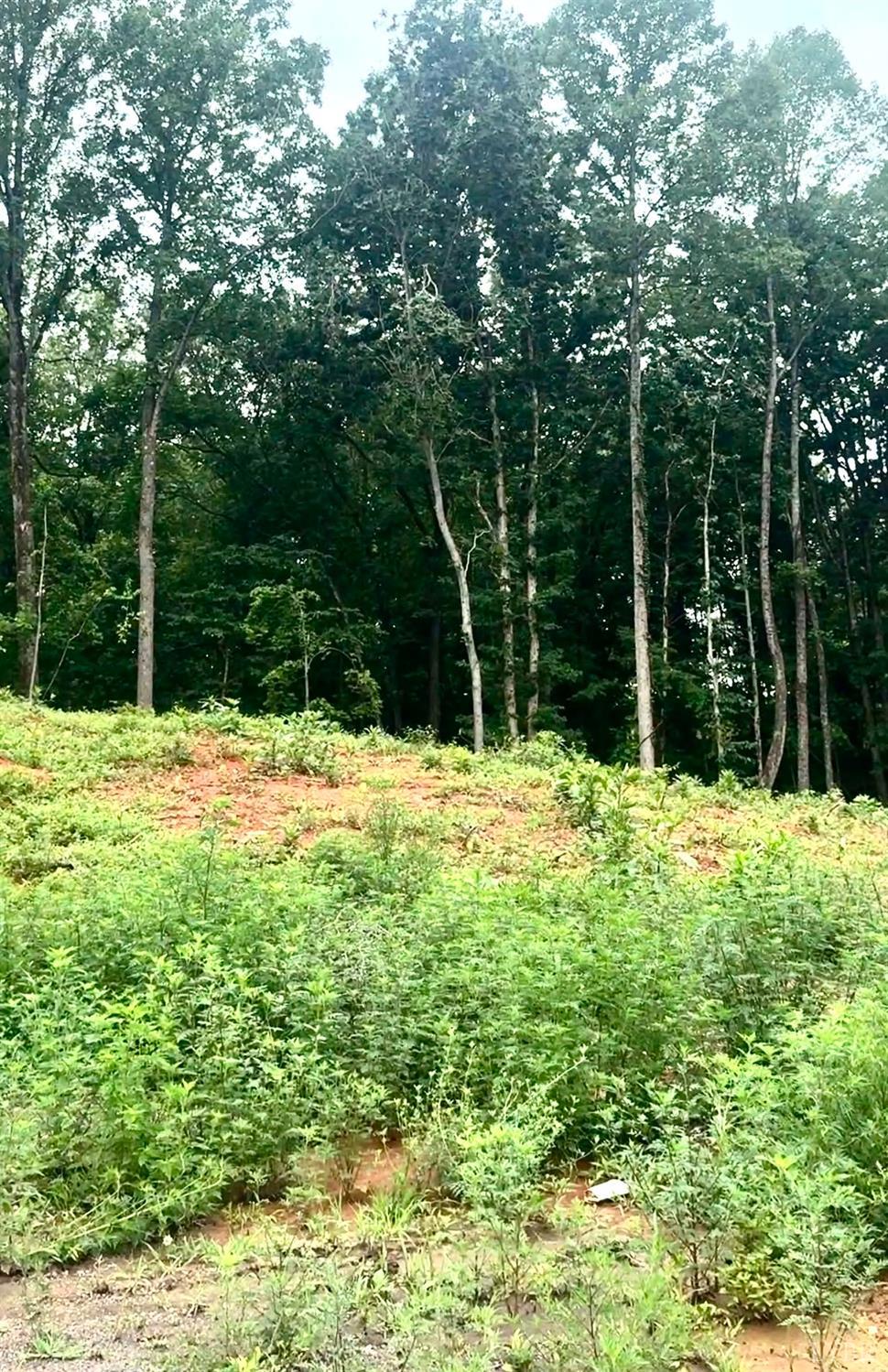 Land in Bedford 4