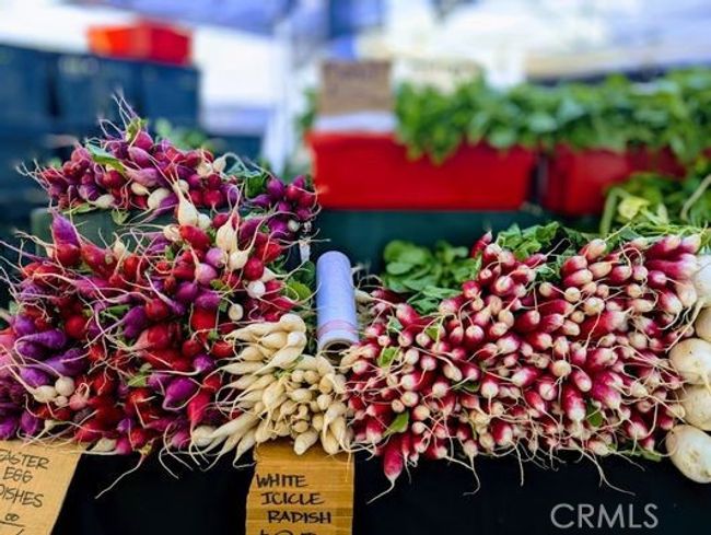 Larchmont Farmers Market | Image 33