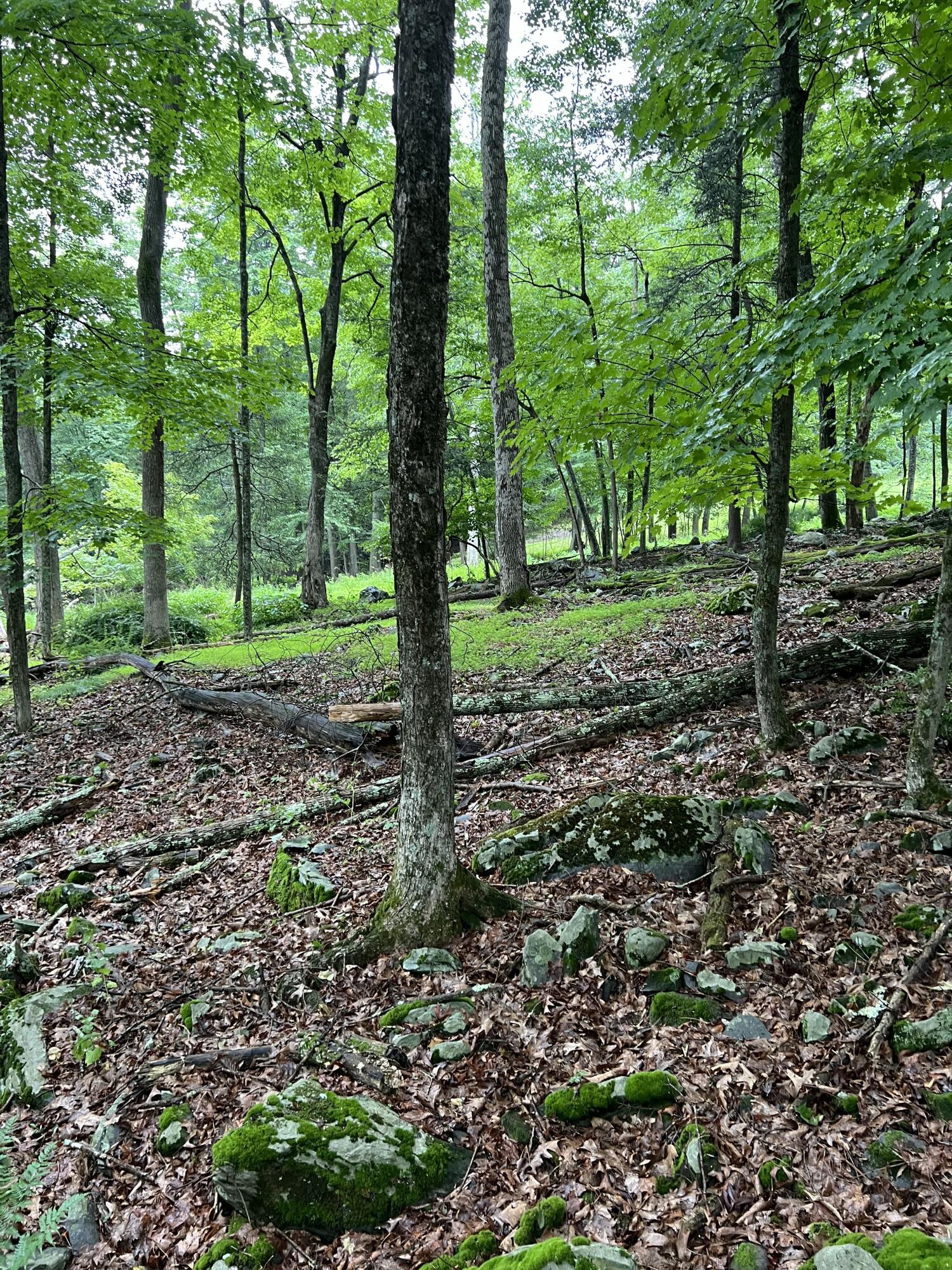 Land in East Stroudsburg 5