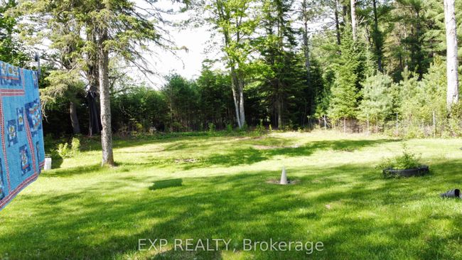 4918 Palmer Rd, House other with 3 bedrooms, 1 bathrooms and 4 parking in Palmer Rapids ON | Image 7
