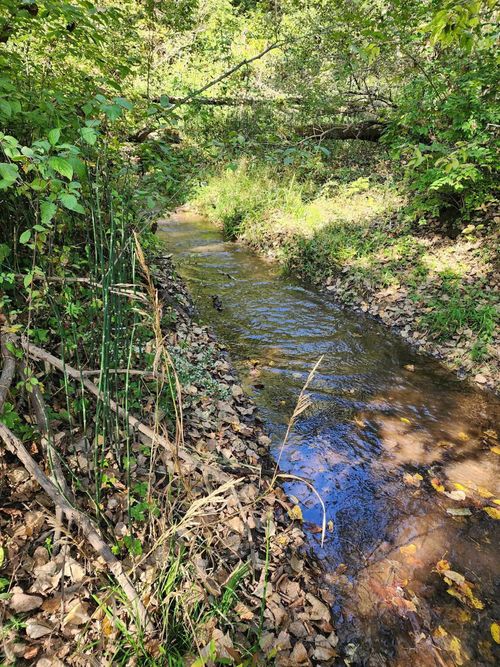 14094 Three Mile Rd, Thomson, IL, 61285 | Card Image