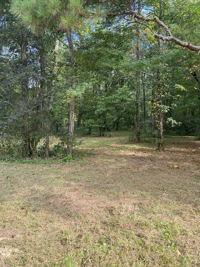 00 Cohutta Beaverdale Rd, Home with 0 bedrooms, 0 bathrooms and null parking in Cohutta GA | Image 30