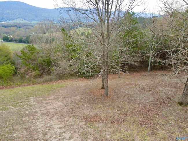 20 Sky High Dr, Home with 0 bedrooms, 0 bathrooms and null parking in Dunlap TN | Image 25