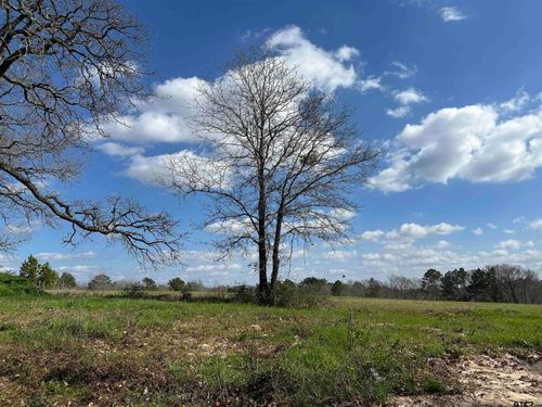 TBD LOT 1 County Road 401, Henderson, TX, 75654 | Card Image