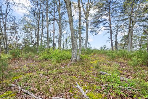 81 Crest Ct, Waverly, TN, 37185-2401 | Card Image