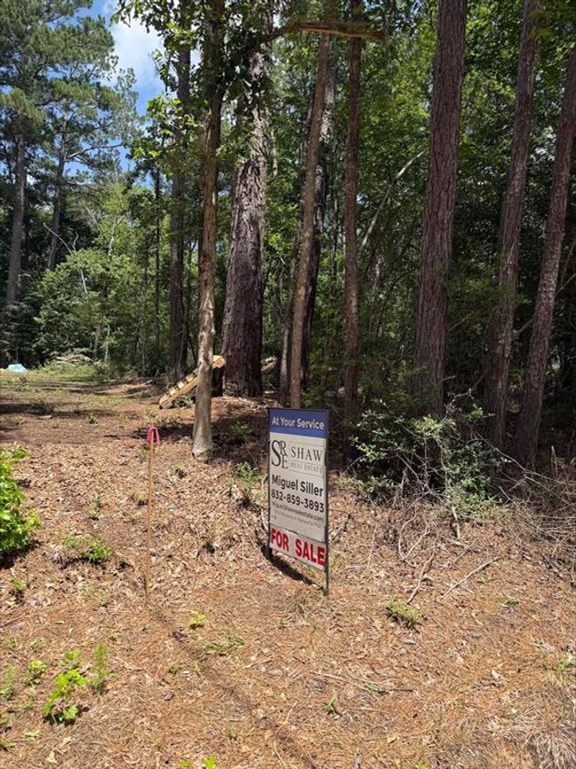 0 Non Such Rd, Home with 0 bedrooms, 0 bathrooms and null parking in Livingston TX | Image 5