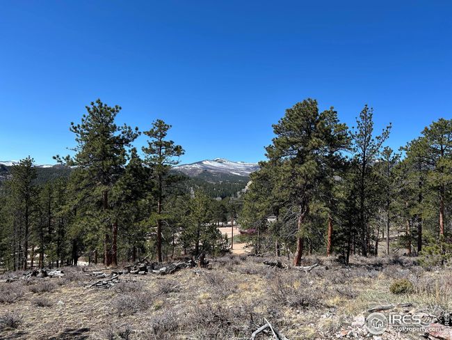 295 Piney Knolls Dr, Home with 0 bedrooms, 0 bathrooms and null parking in Red Feather Lakes CO | Image 8