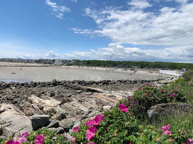 5 - 1047 Ocean Blvd, Condo with 1 bedrooms, 1 bathrooms and null parking in Rye NH | Image 6