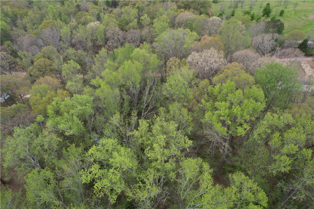 Land in Anderson 5