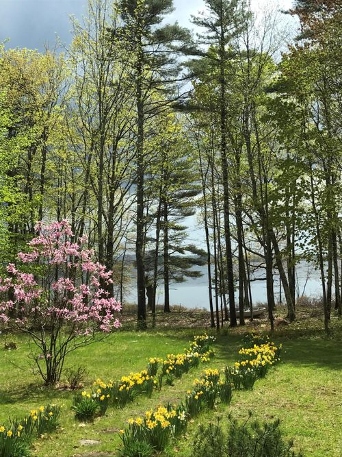 217 Leadbetter Rd, Wayne, ME, 04284-3141 | Card Image