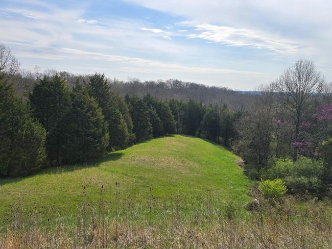 8266 State Highway 262, Home with 0 bedrooms, 0 bathrooms and null parking in Dillsboro IN | Image 20