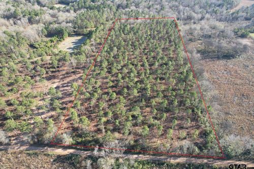 TBD-A County Road 216, Beckville, TX, 75631 | Card Image