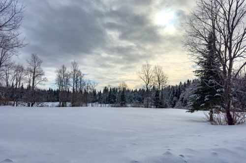 1406 Gray Wilmurt Rd, Cold Brook, NY, 13324-2906 | Card Image