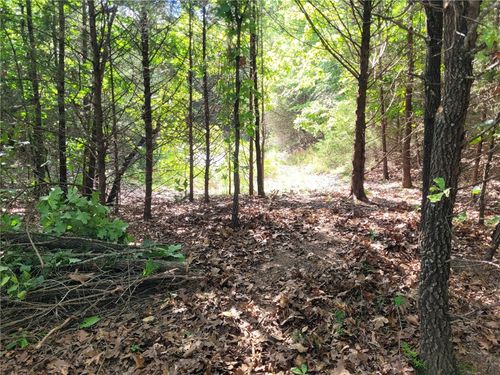 TBD Union Star Road, Winslow, AR, 72959 | Card Image