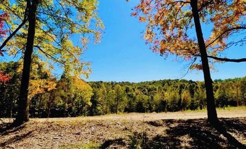 0 State Park Road, Burkesville, KY, 42717 | Card Image