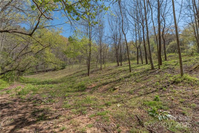 43 Laurel Pines Church Rd, House other with 2 bedrooms, 2 bathrooms and null parking in Fairview NC | Image 24
