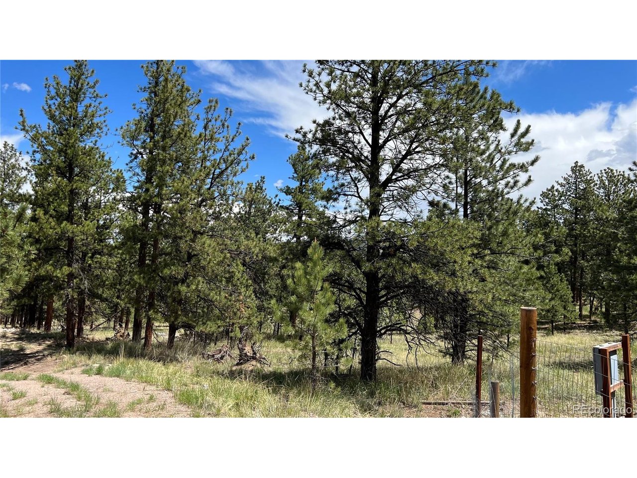 Land in Westcliffe 2
