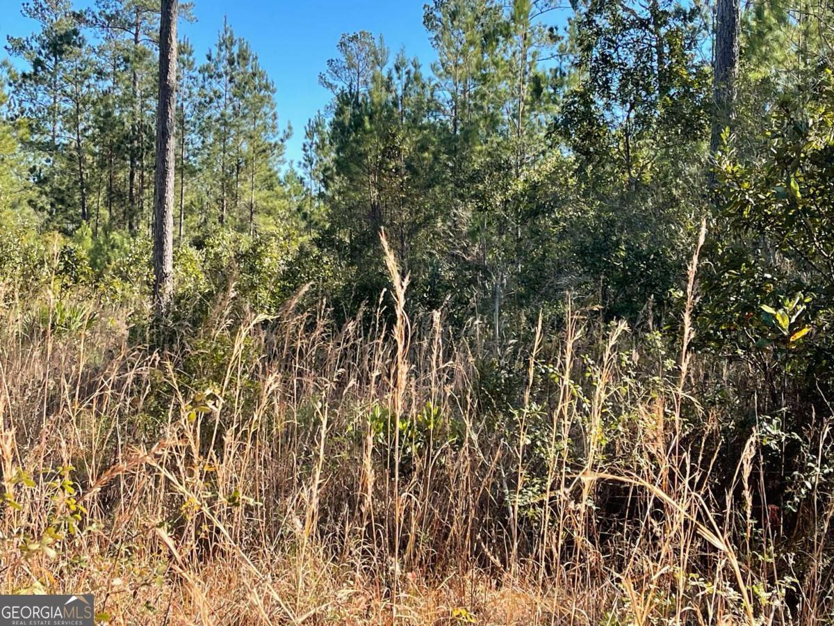 Land in Waynesville 2