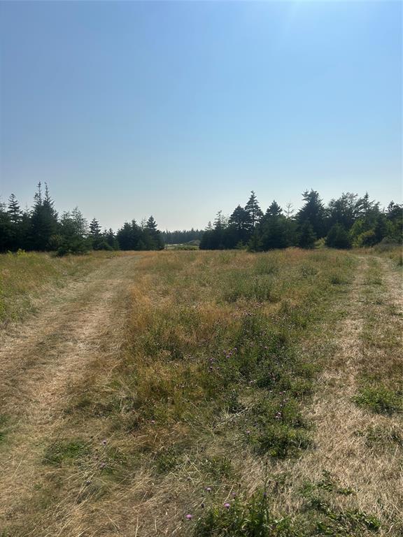 Land in Roaches Line 3