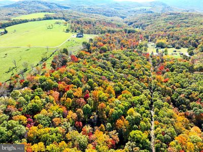 20.98 ACRES Sand Hill Road, Home with 0 bedrooms, 0 bathrooms and null parking in ROMNEY WV | Image 3