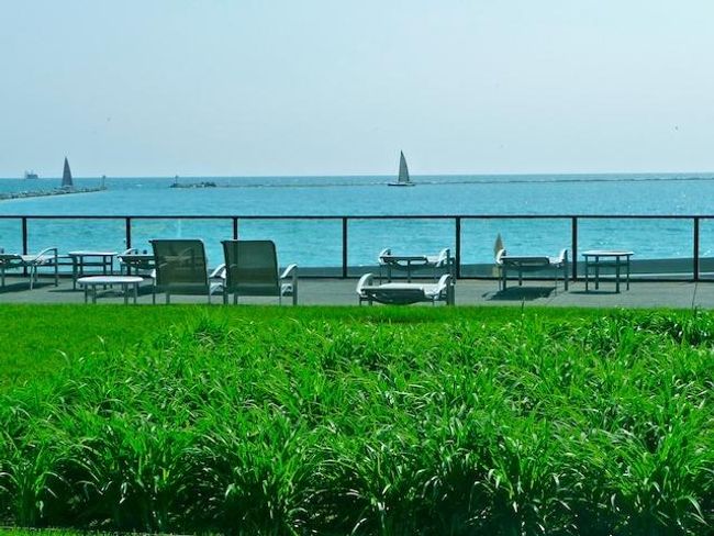 APT-1716 - 910 N Lake Shore Dr, Condo with 1 bedrooms, 1 bathrooms and 1 parking in CHICAGO IL | Image 23