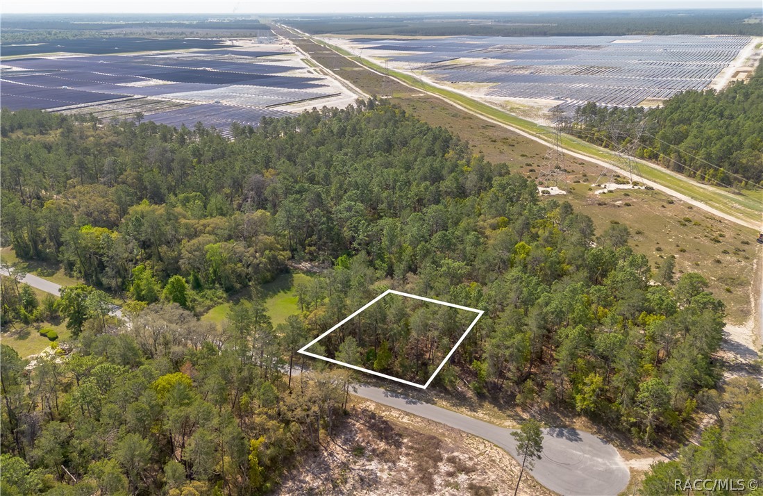 Land in Ocala 4