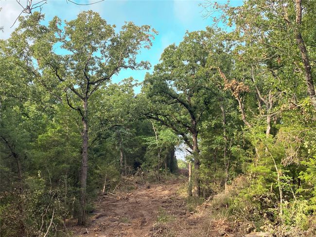 5 W Carrington Ave, Home with 0 bedrooms, 0 bathrooms and null parking in Marquez TX | Image 5