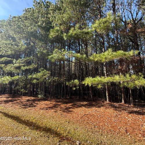 113 Wilson Way, Hertford, NC, 27944 | Card Image