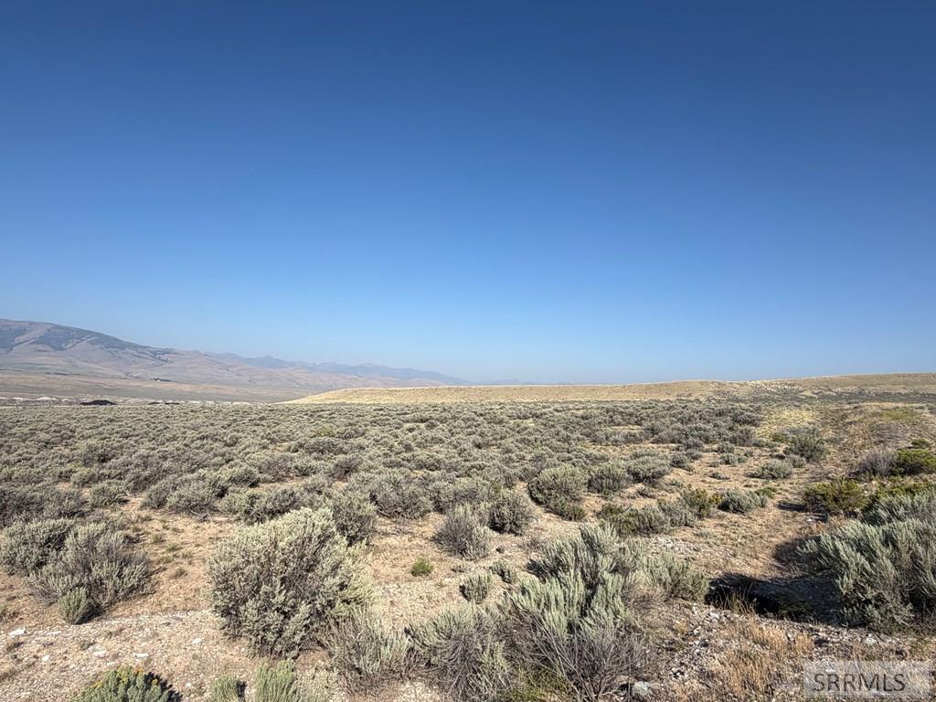 Land in Leadore 5