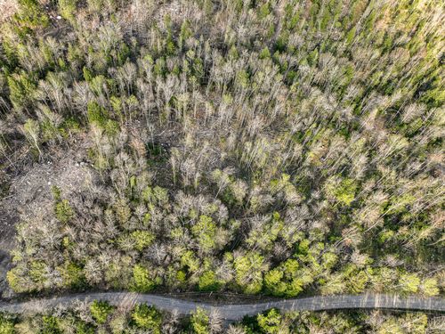 39 Sawyer Brook Road, Andover, ME, 04216 | Card Image