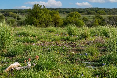 Lot 20 Gracewood Way, Dripping Springs, TX, 78620 | Card Image