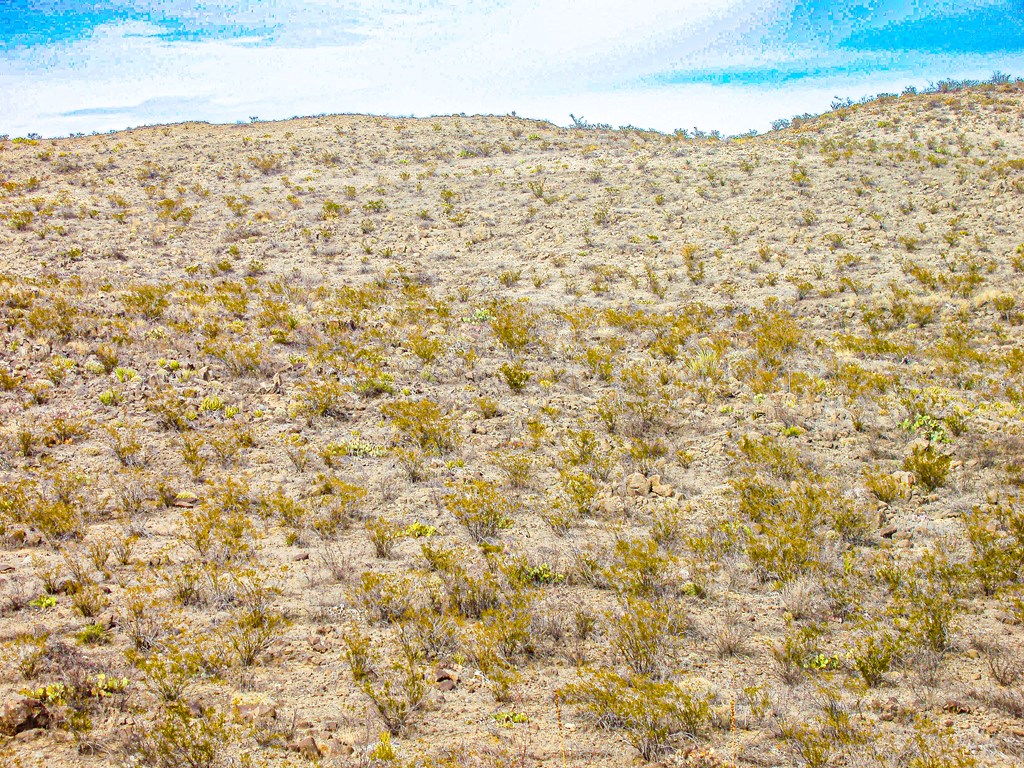 Land in Terlingua