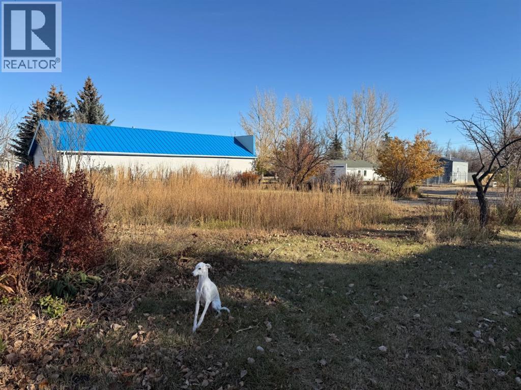 Land in Carmangay 3