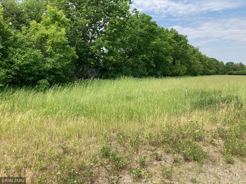 Parcel B & C 306th Street, Florence Twp, MN, 55026 | Card Image
