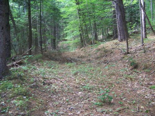 1003 Quarry Hill Rd, Rochester, VT, 05767 | Card Image