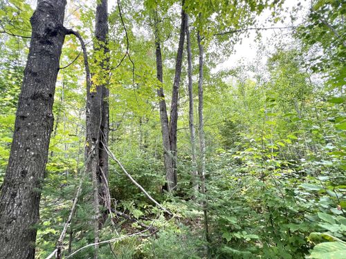 5.56ac Star Lake Rd, Crandon, WI, 54520 | Card Image