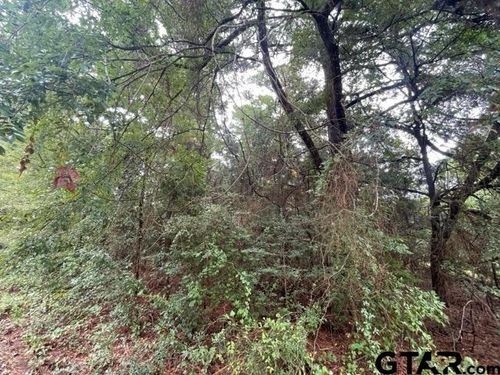 244 Sand Jack Dr, Bullard, TX, 75757 | Card Image