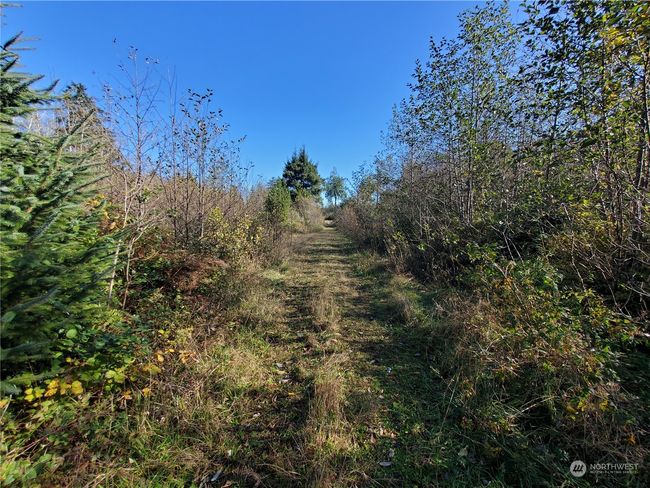 36602 Stackpole Rd, Home with 0 bedrooms, 0 bathrooms and null parking in Oysterville WA | Image 6