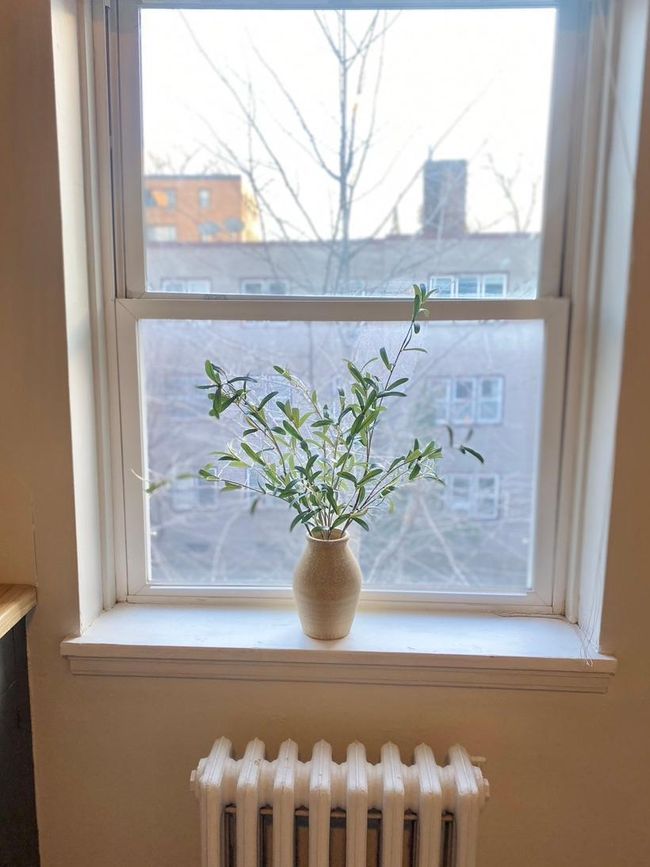 South facing window provides a view of the courtyard | Image 17