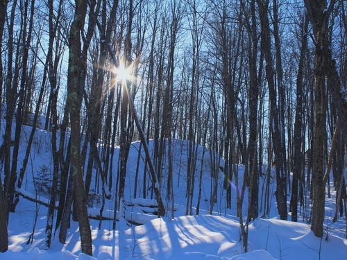 Outlot 3 Skye Dr, Upson, WI, 54565 | Card Image