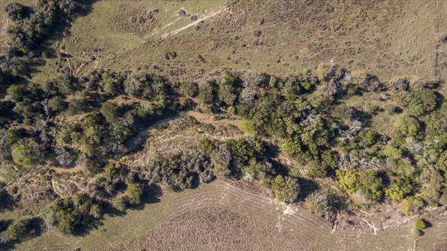 000 Old Sayers Rd, Home with 0 bedrooms, 0 bathrooms and null parking in Bastrop TX | Image 7