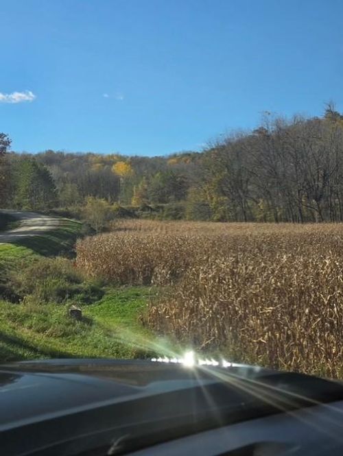 XXXXX County 45 Boulevard, Red Wing, MN, 55066 | Card Image